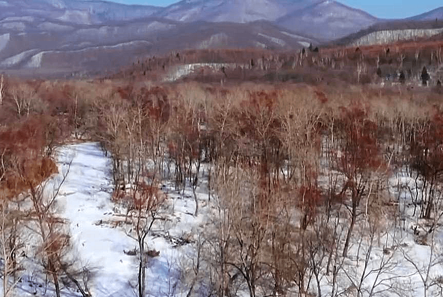 照片來源：央視截圖